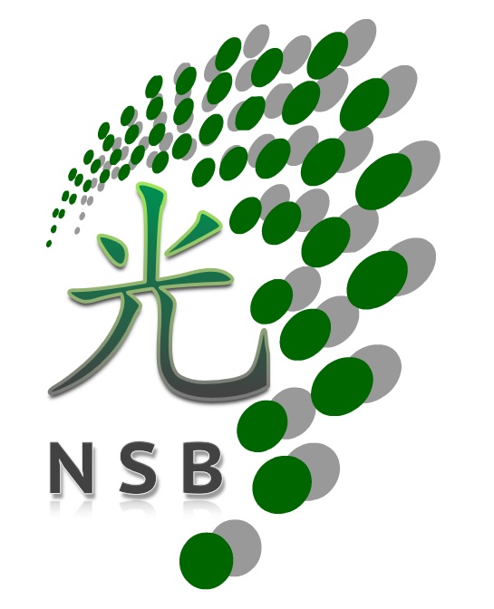 20151101 NSB Logo